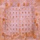 Serenity Colosseum  - Roussillon Provence Luberon - SOLD